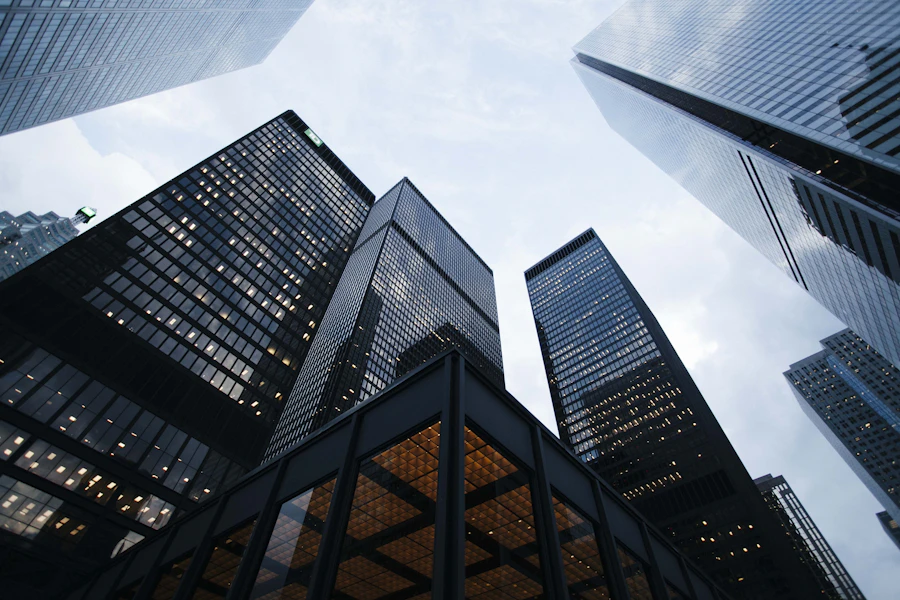 Investment & Management Consulting